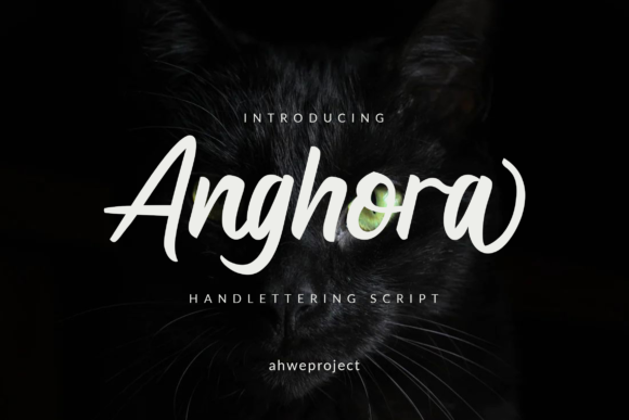 Anghora: A Classy Script Font