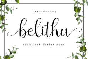 Belitha: A Modern Script Font for Business