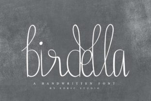 Birdella: A Magical Script Font for Business
