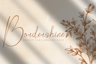 Bordershine Font: Playful Script for Web Design