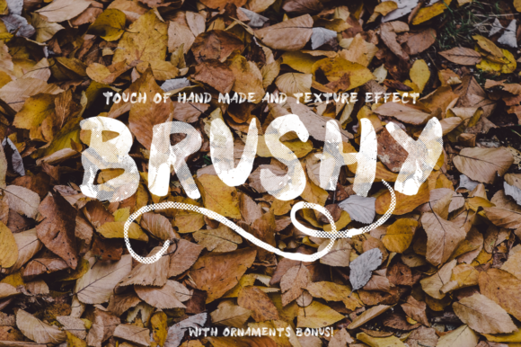 Brushy: A Script Font for Business Branding