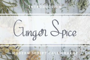 Ginger Spice: A Bold Script Font