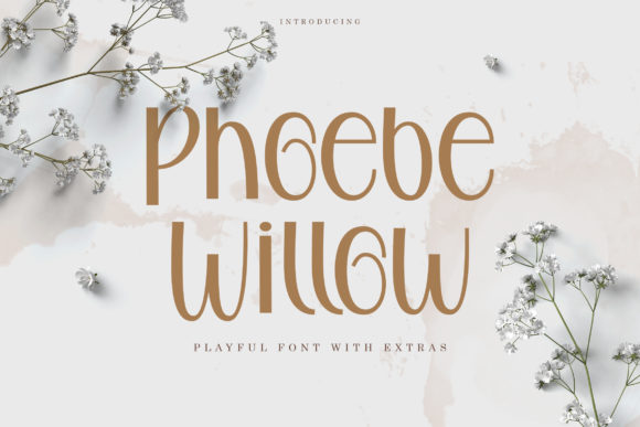 Phoebe Willow: A Sweet Script for Creative Brands