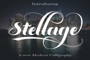 Stellage: Elegant Script Font for Digital Marketing